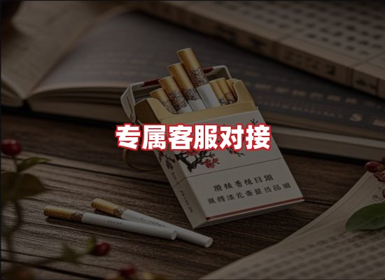 专业团队